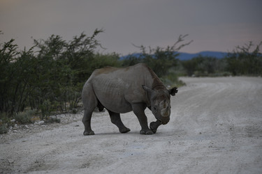 Similar image 22209054