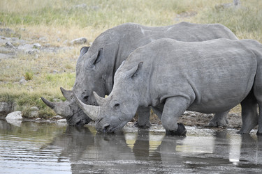 Similar image 22209055