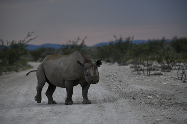 Similar image 22209056