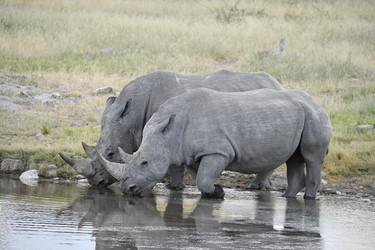 Similar image 22209057