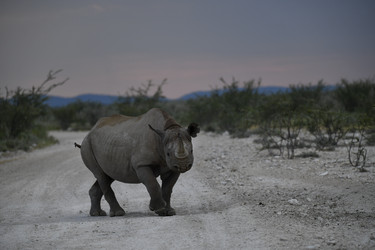 Similar image 22209058