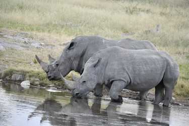 Similar image 22209059