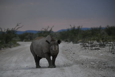 Similar image 22209060