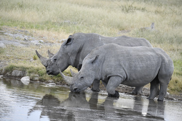 Similar image 22209061