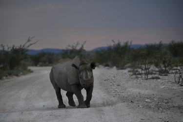 Similar image 22209209