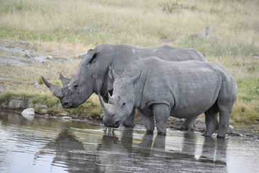 Similar image 22209210