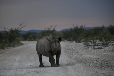 Similar image 22209211