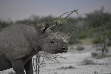 Similar image 22209212