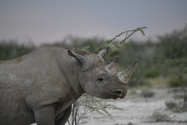 Similar image 22209213