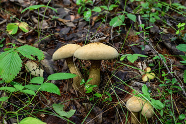 Similar image 22208735