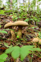 Similar image 22208736