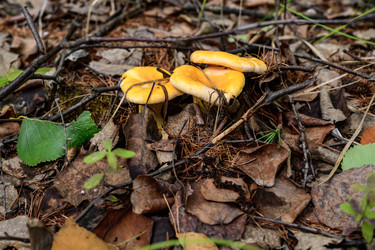 Similar image 22208737