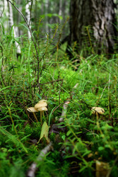 Similar image 22208738