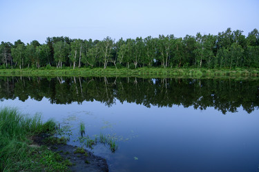 Similar image 22208740