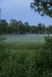 Similar image 22208741