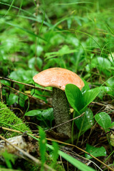 Similar image 22208743