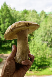 Similar image 22208745