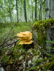 Similar image 22208746