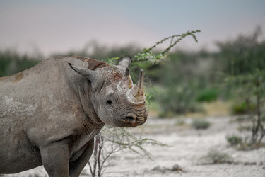 Similar image 22209215