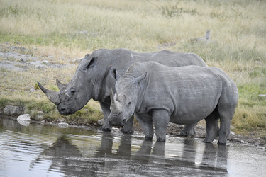 Similar image 22209216