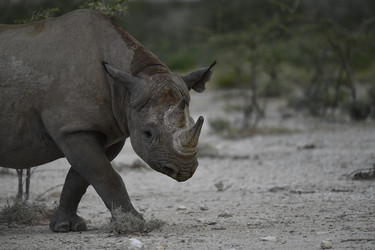 Similar image 22209217