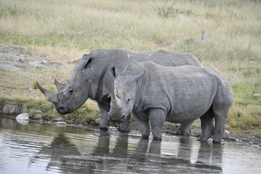 Similar image 22209218