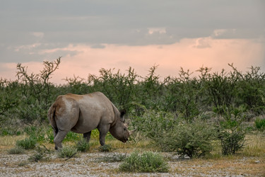 Similar image 22209219