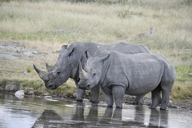 Similar image 22209220