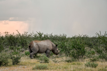 Similar image 22209221