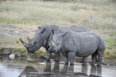 Similar image 22209222