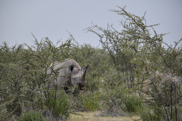 Similar image 22209223