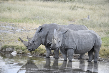 Similar image 22209224