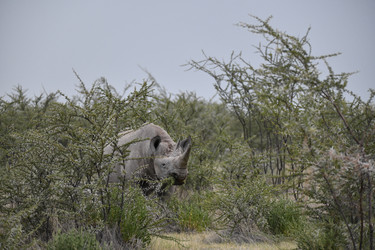 Similar image 22209225