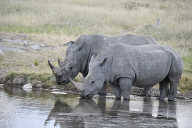 Similar image 22209226