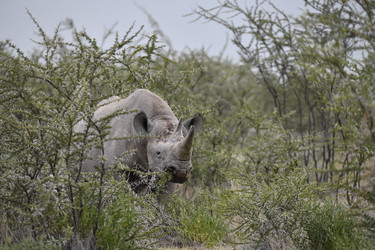 Similar image 22209227