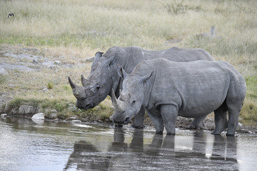 Similar image 22209228