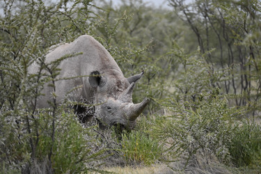 Similar image 22209440