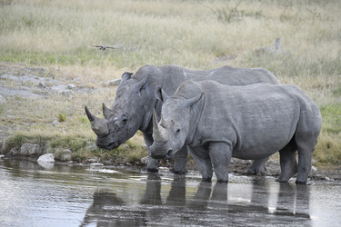 Similar image 22209443