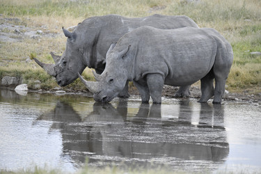 Similar image 22209444