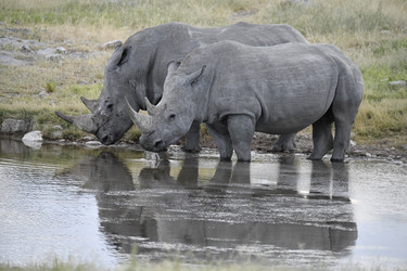 Similar image 22209445