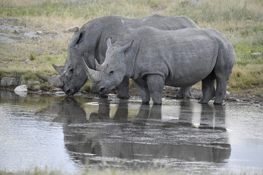 Similar image 22209446