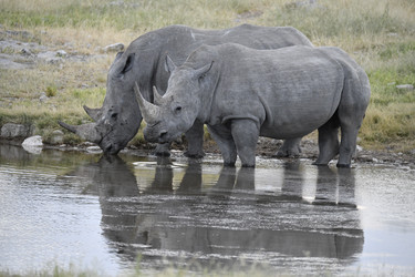 Similar image 22209447