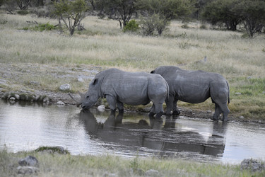 Similar image 22209448