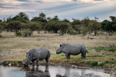 Similar image 22209449