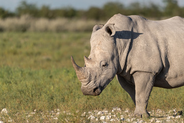 Similar image 22209450