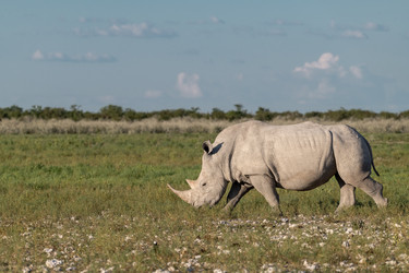 Similar image 22209451