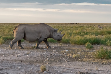 Similar image 22209452