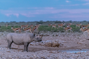 Similar image 22209453