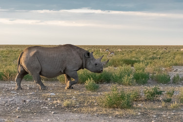 Similar image 22209454