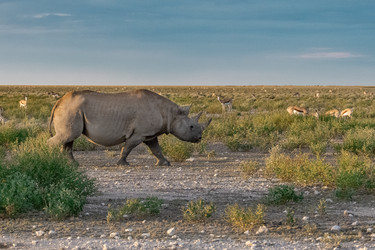 Similar image 22209455